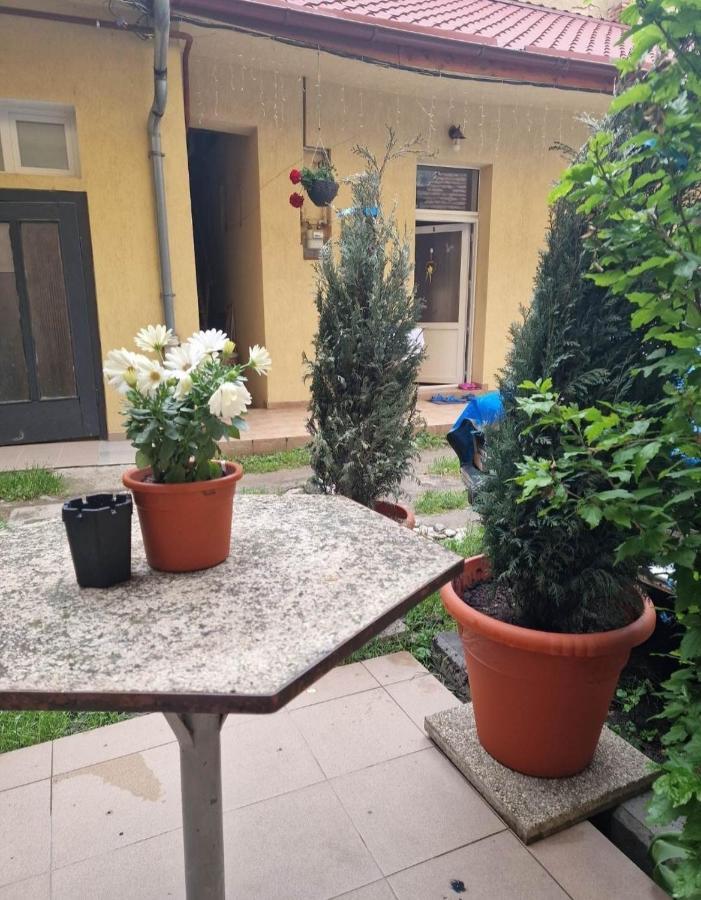 Apartament Central Traian Mosoiu , Parcare Proprie Клуж-Напока Экстерьер фото